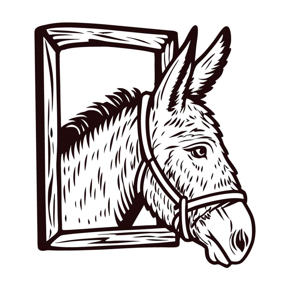 Engraved illustration of donkey head with bridle looking through window in vintage sketch vector