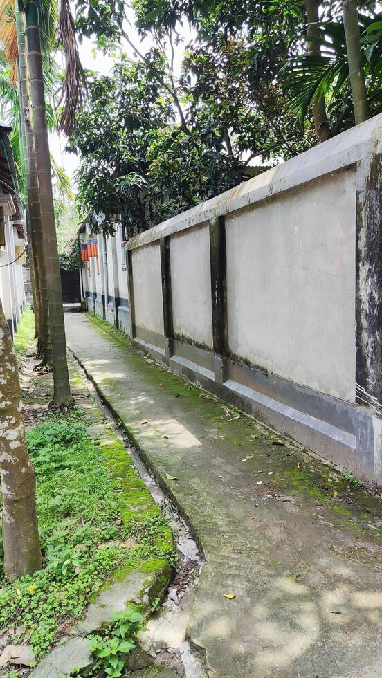A pathway alongside a concrete wall with trees and greenery photo