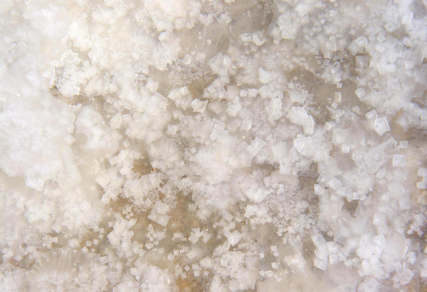 Texture of raw salt from a lake photo