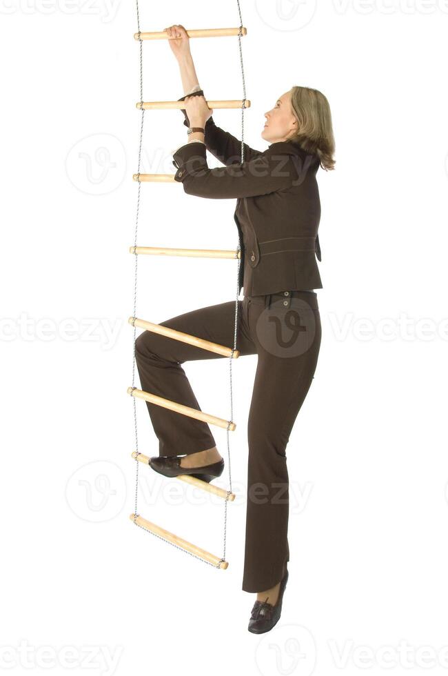 Career ladder isolated photo