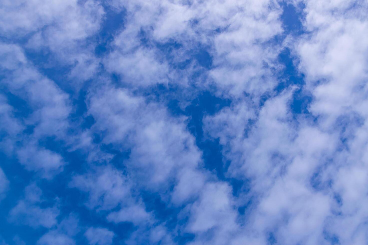 white clouds in the bluesky photo