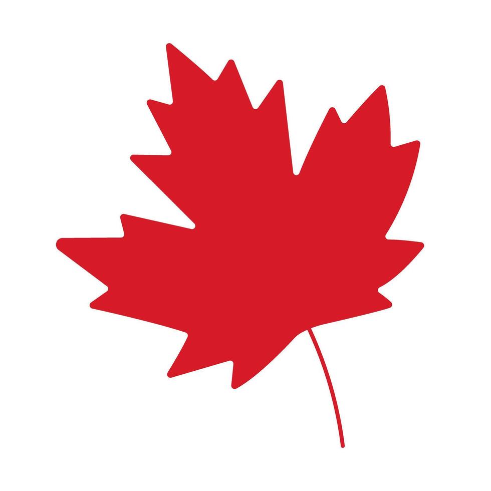 A red leaf with a stem. The leaf is red and has a pointed tip. The leaf is a symbol of the fall season vector