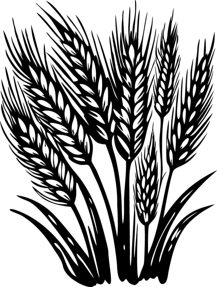 A vintage style illustration of wheat field vector