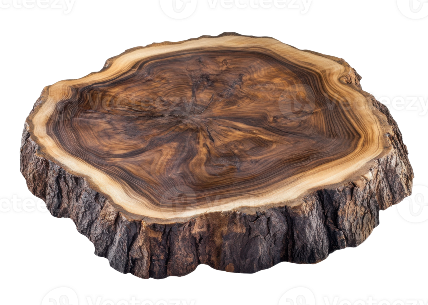 Natural wood slice tree trunk cross section isolated on transparent background png