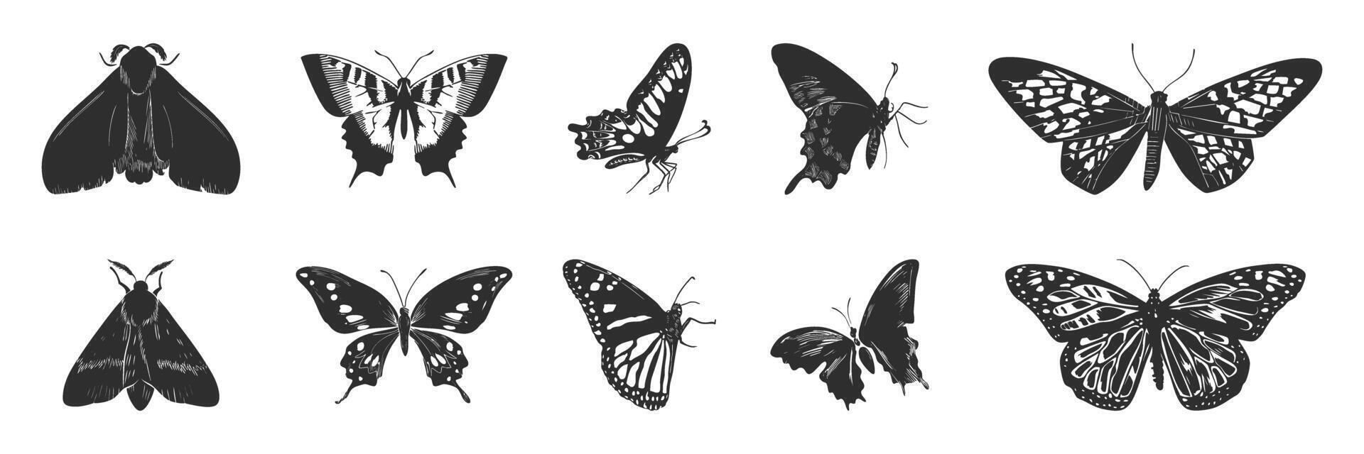 Butterfly And Moth Silhouette Set. Nature'S Elegance And Diversity In Flight Isolated Illustration Collection vector