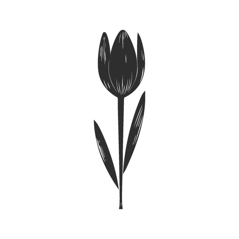 Tulip Flower Silhouette Illustration. Elegant Floral Design For Nature-Themed Projects. Isolated Illustration vector