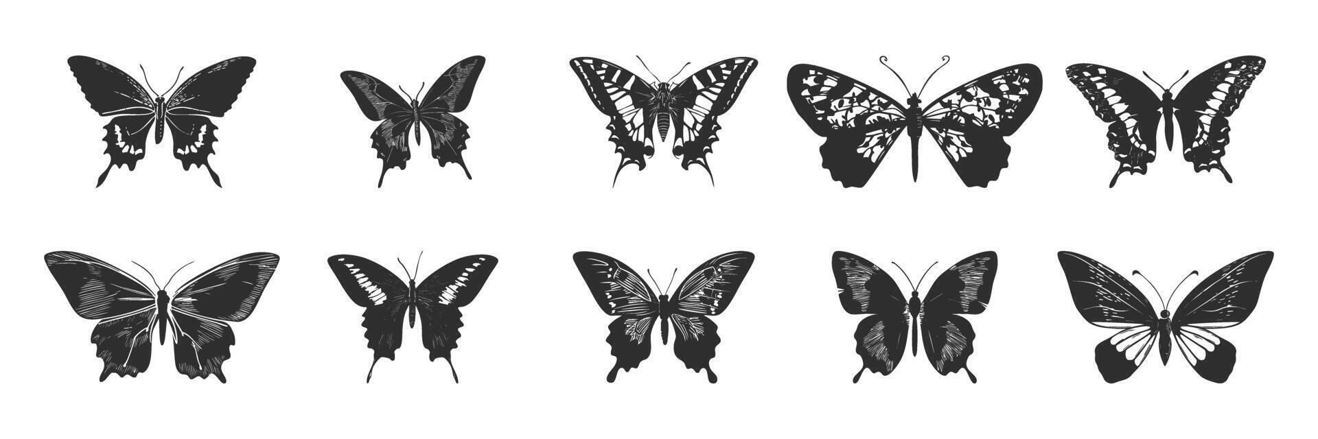 Butterfly Silhouettes Collection. Diverse Butterfly Species In Black And White. Isolated Illustration Set vector
