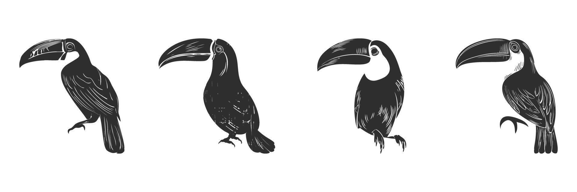 Toucan Bird Silhouette Set. Exotic Wildlife And Nature Theme Isolated Illustration Collection vector