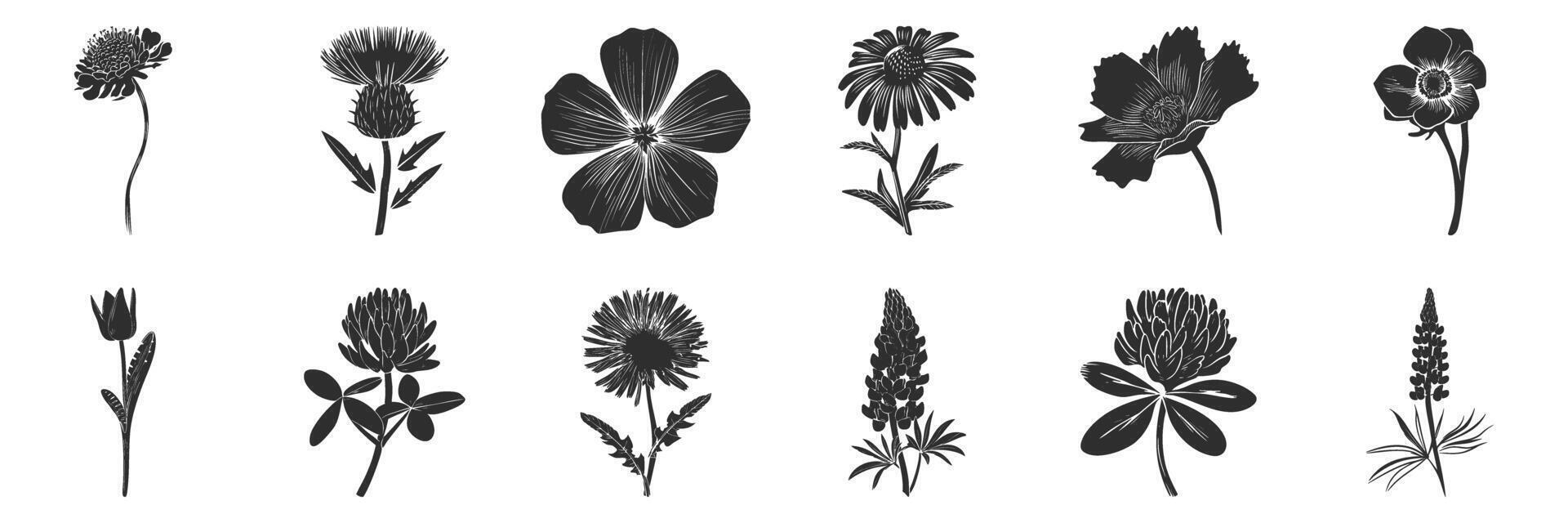 Floral Silhouettes Collection. Botanical Diversity And Nature Isolated Illustration Set vector