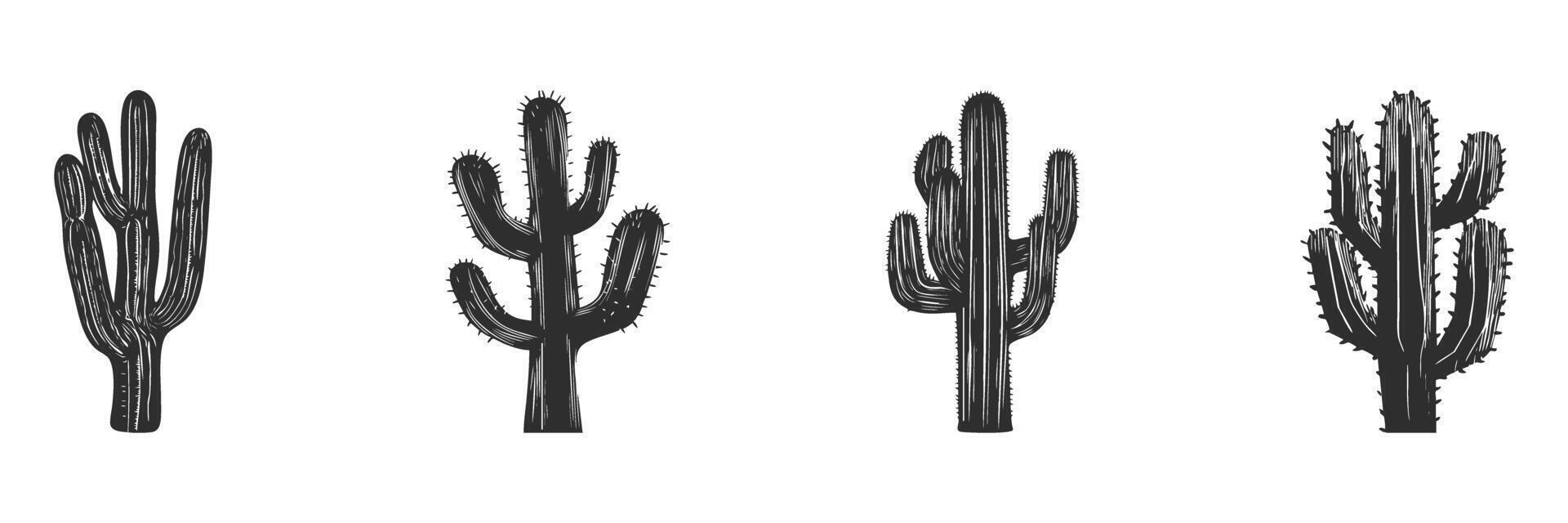 Cactus Silhouette Set. Desert Plant Illustrations For Nature And Botanical Design Isolated Illustration Collection vector