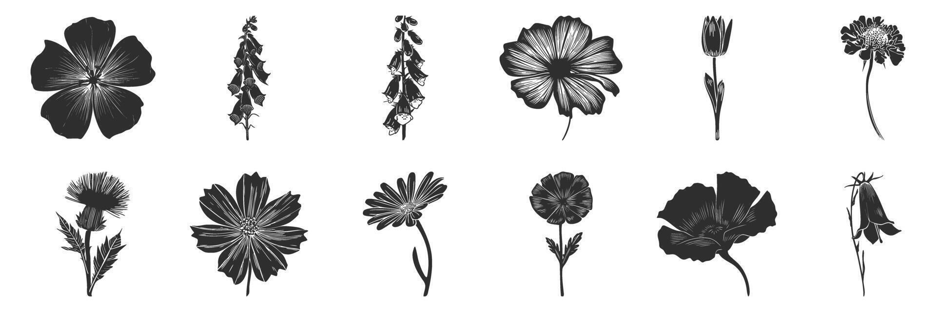 Floral Silhouettes Collection. Botanical Diversity And Elegance In Black And White Isolated Illustration Set vector