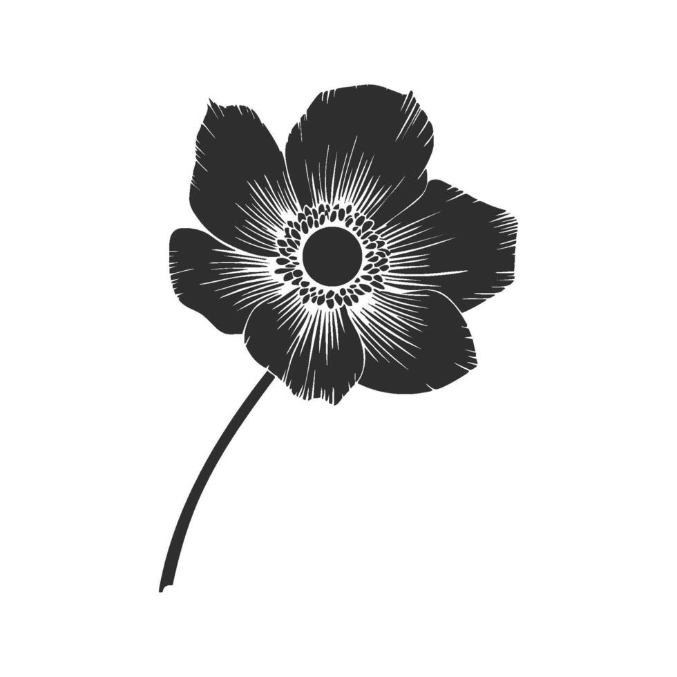 Black And White Anemone Flower Silhouette Illustration. Elegant Floral Design For Botanical Art And Nature Themes. Isolated Illustration vector