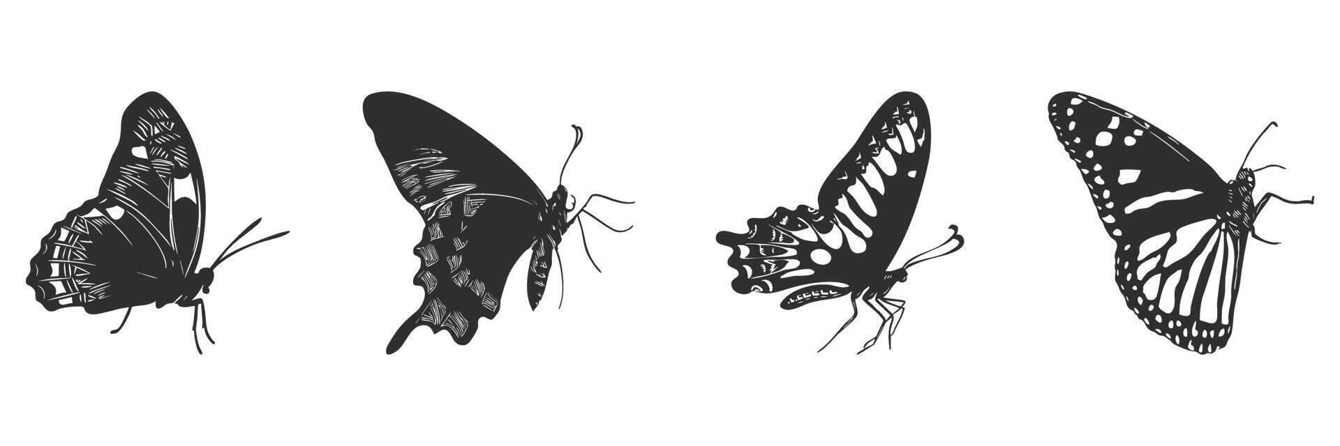 Butterfly Silhouettes Collection. Nature Elegance And Transformation vector