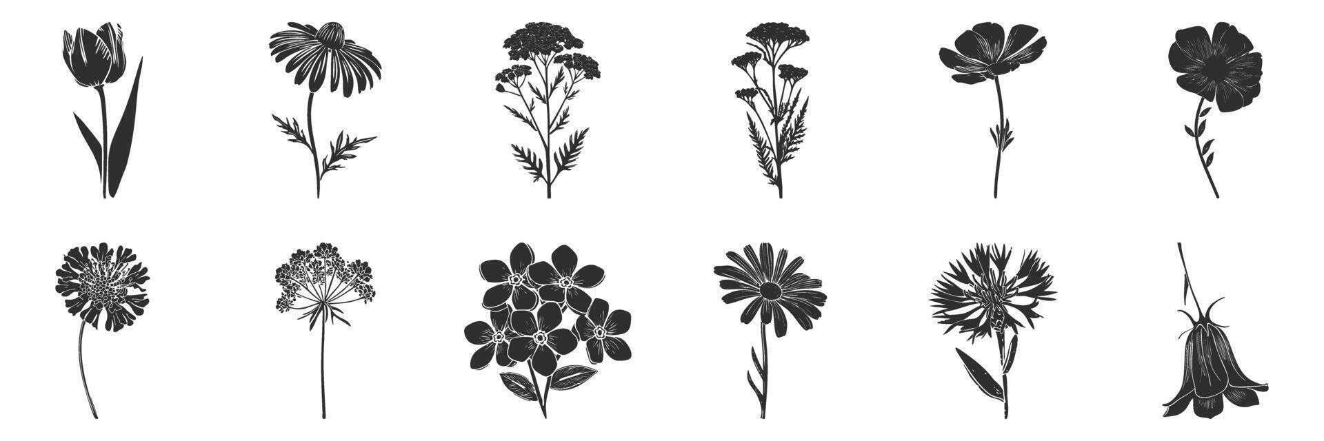 Floral Silhouettes Collection. Botanical Diversity And Nature Aesthetics vector