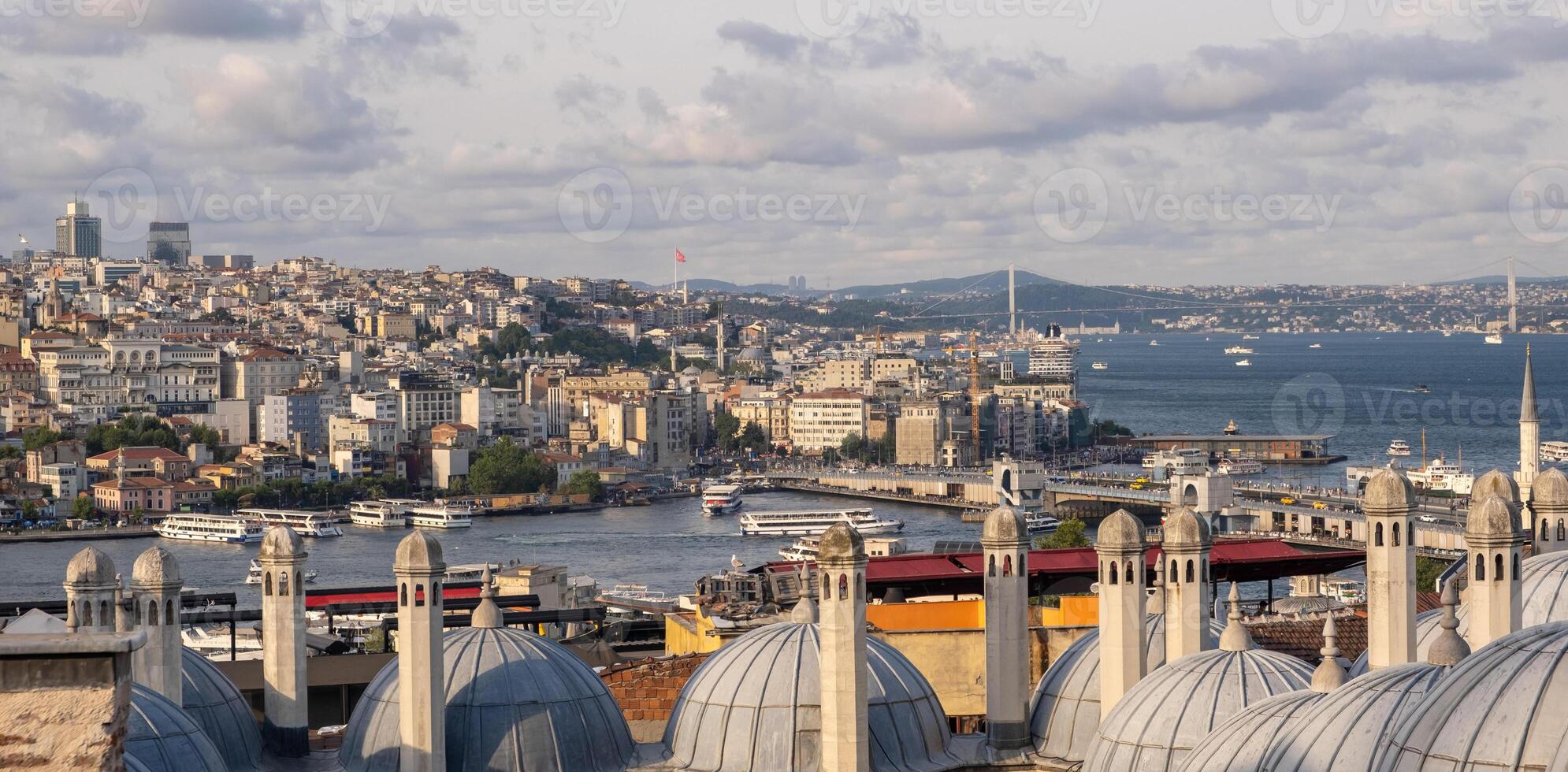 The vibrant city of Istanbul unfolds along the Bosphorus, with rooftops photo