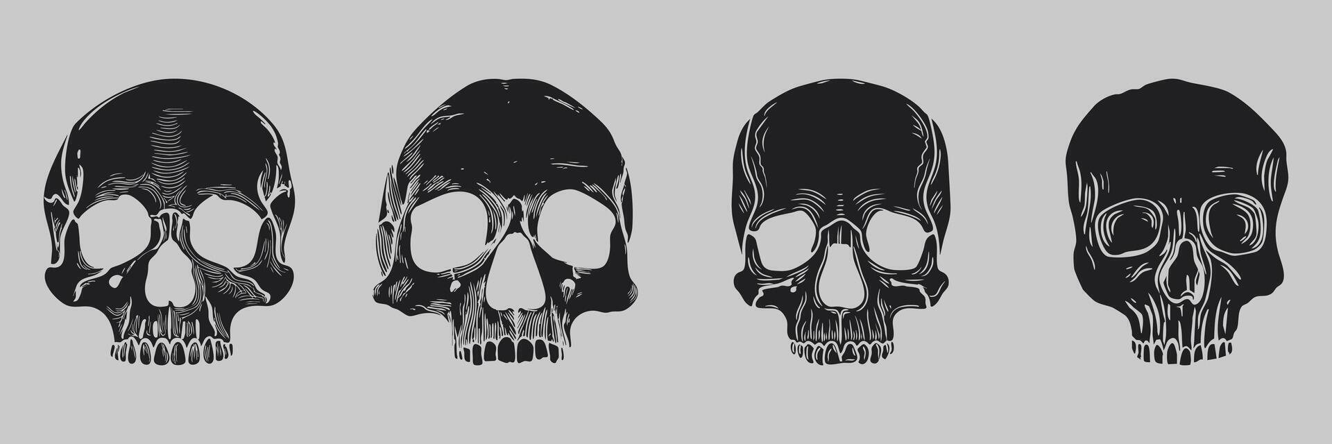 Skull Illustration Set. Artistic Skull Designs For Halloween And Gothic Themes. Isolated Illustration Collection vector