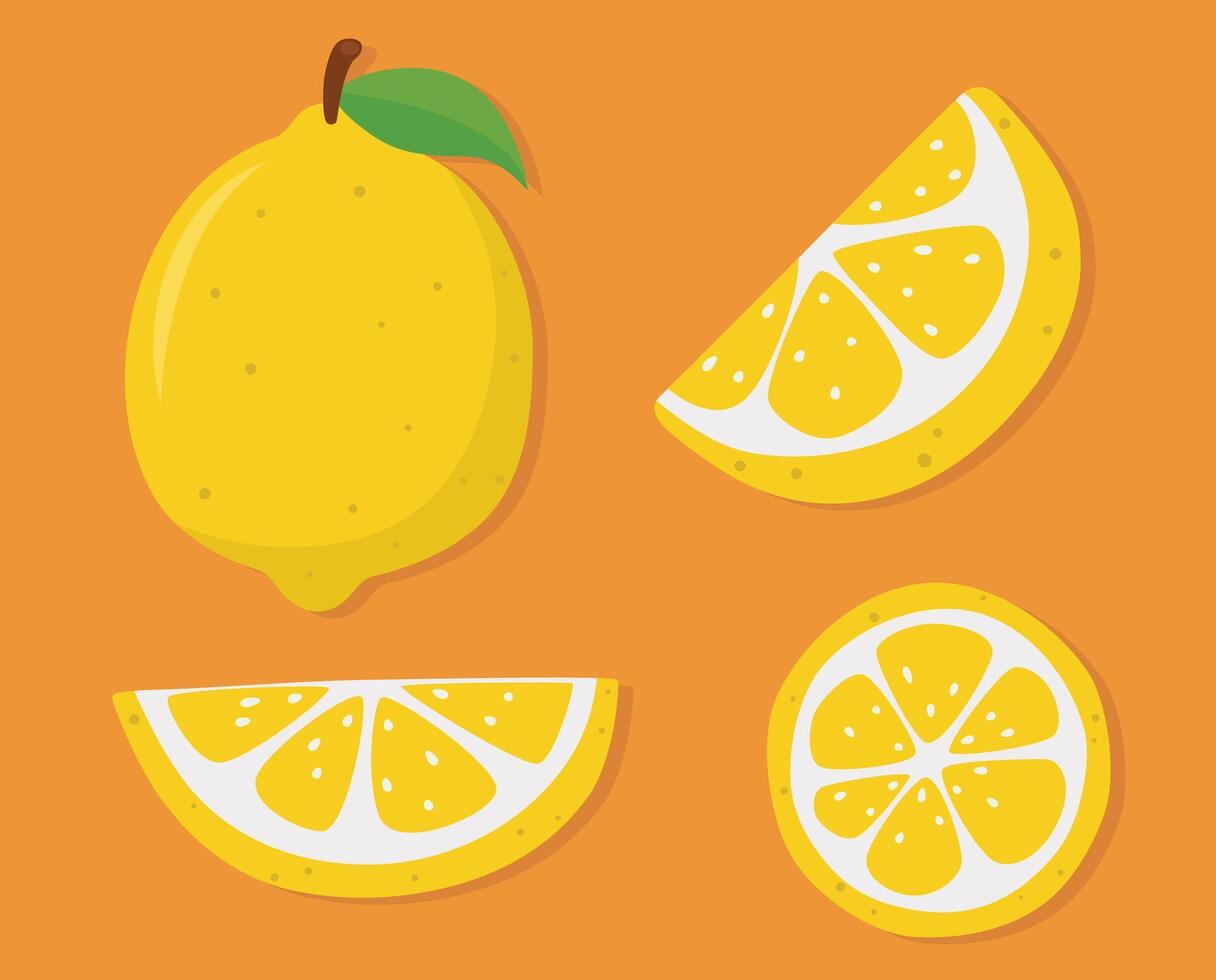 Fresh lemon and juicy slices in cute flat cartoon style vector