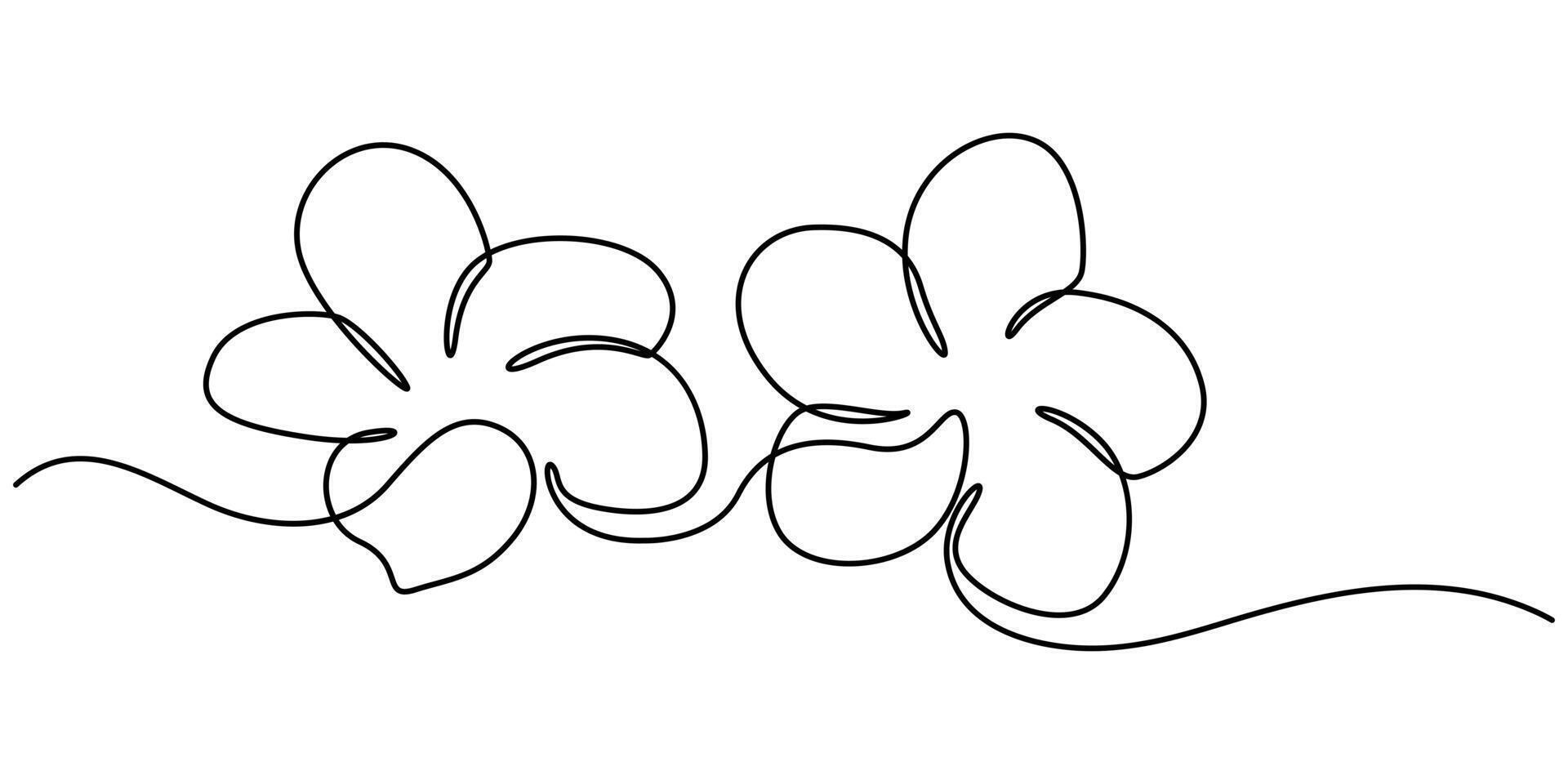 Plumeria flowers in continuous line art drawing style. Minimalist black line sketch on white background vector