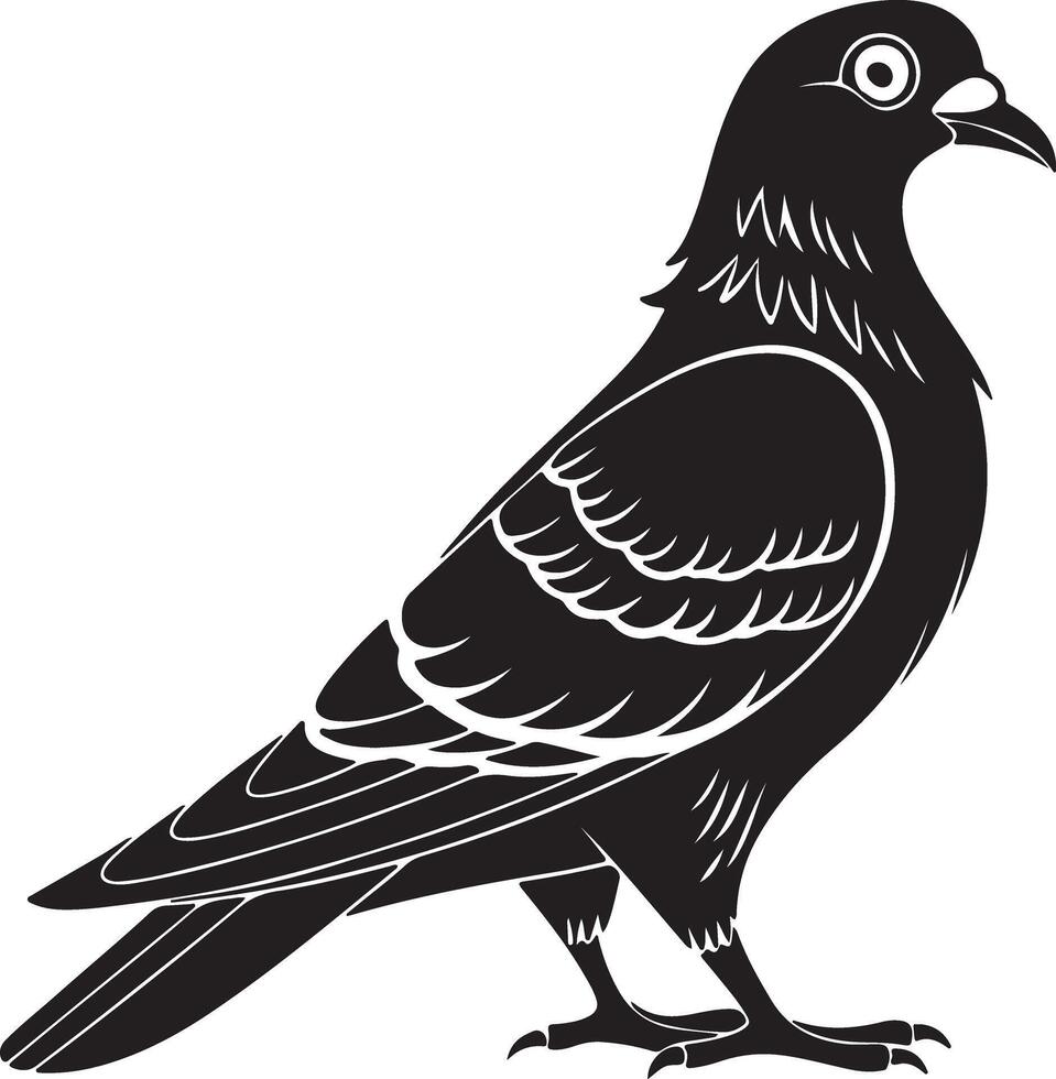 Side View of a Pigeon Silhouette Observing Quietly vector