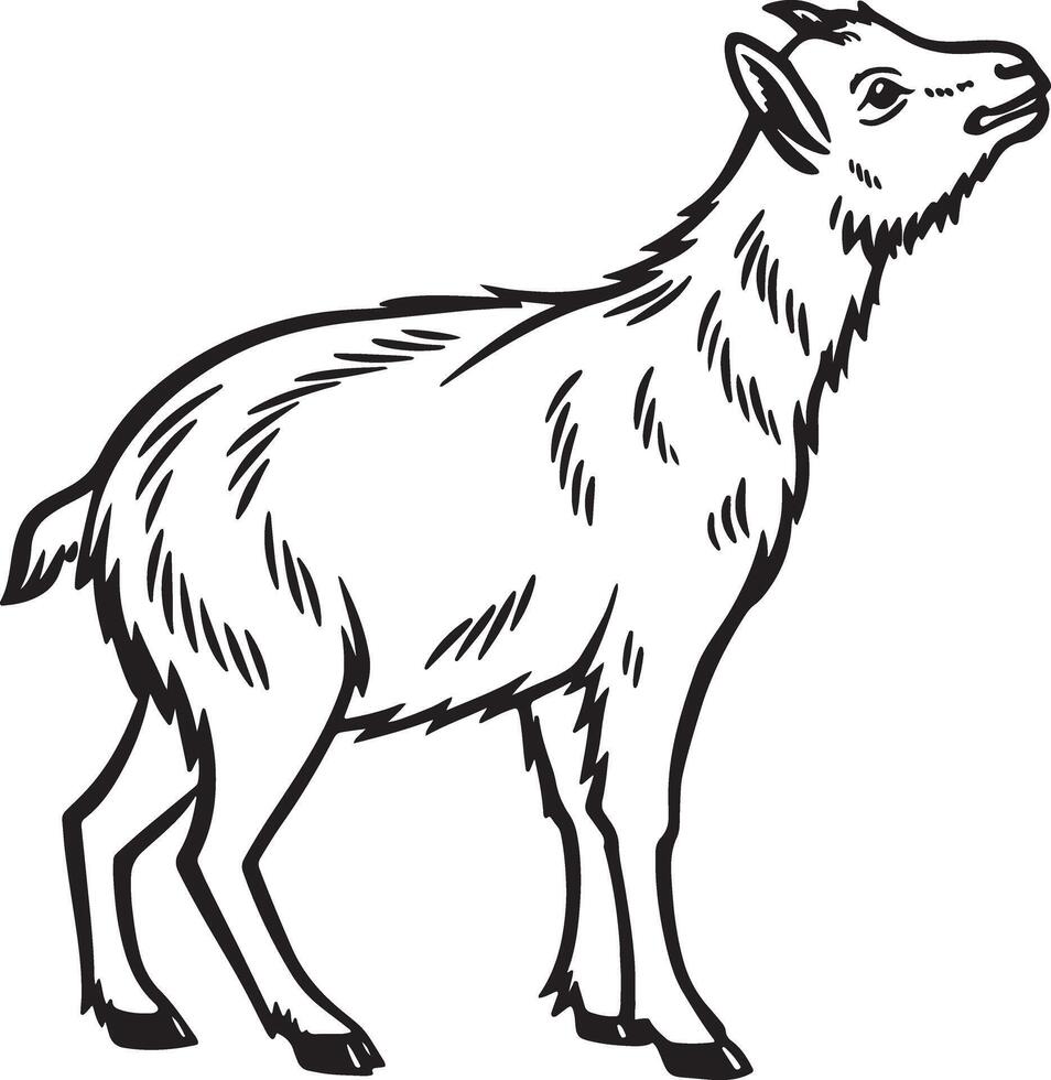 Hand Drawn Farm Animal Silhouette with Rustic Feel vector