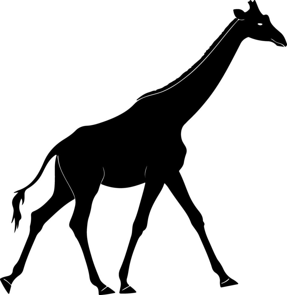 Elegant Walking Giraffe Silhouette in Side View vector