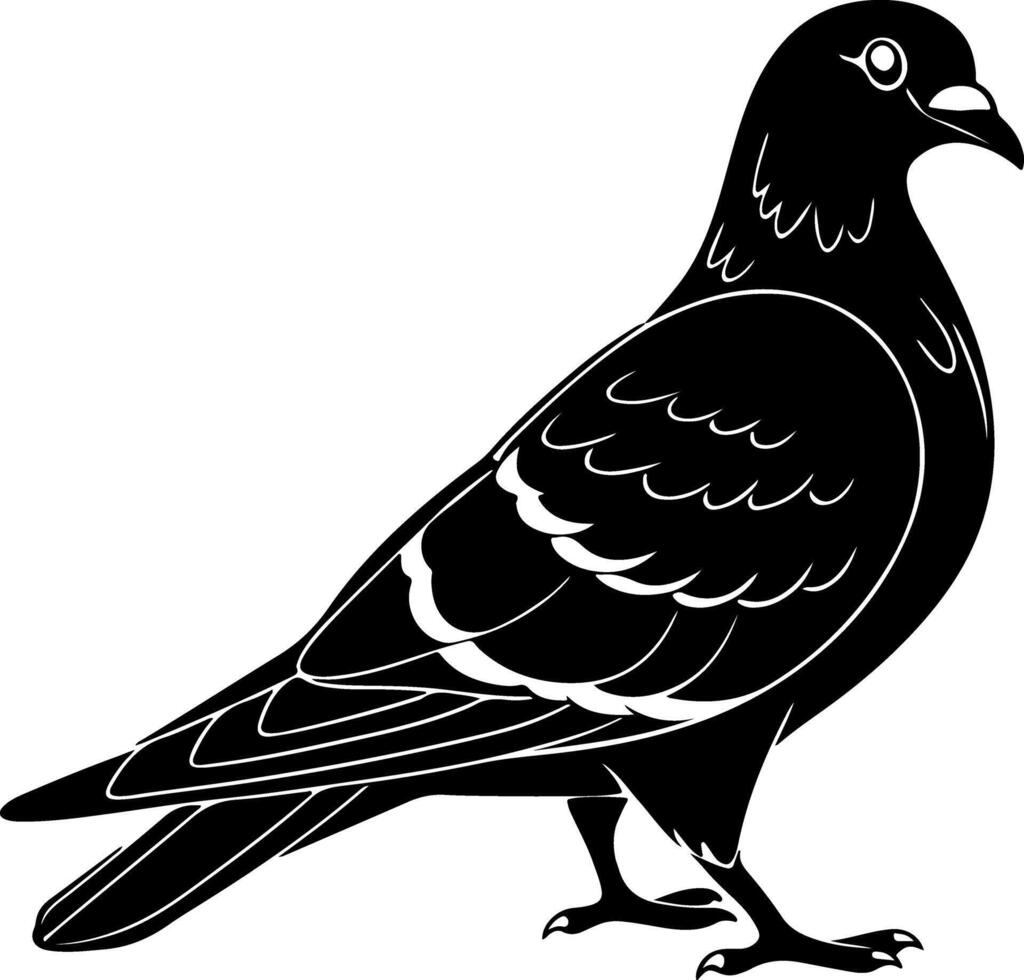 Standing Pigeon Silhouette with Folded Wings vector