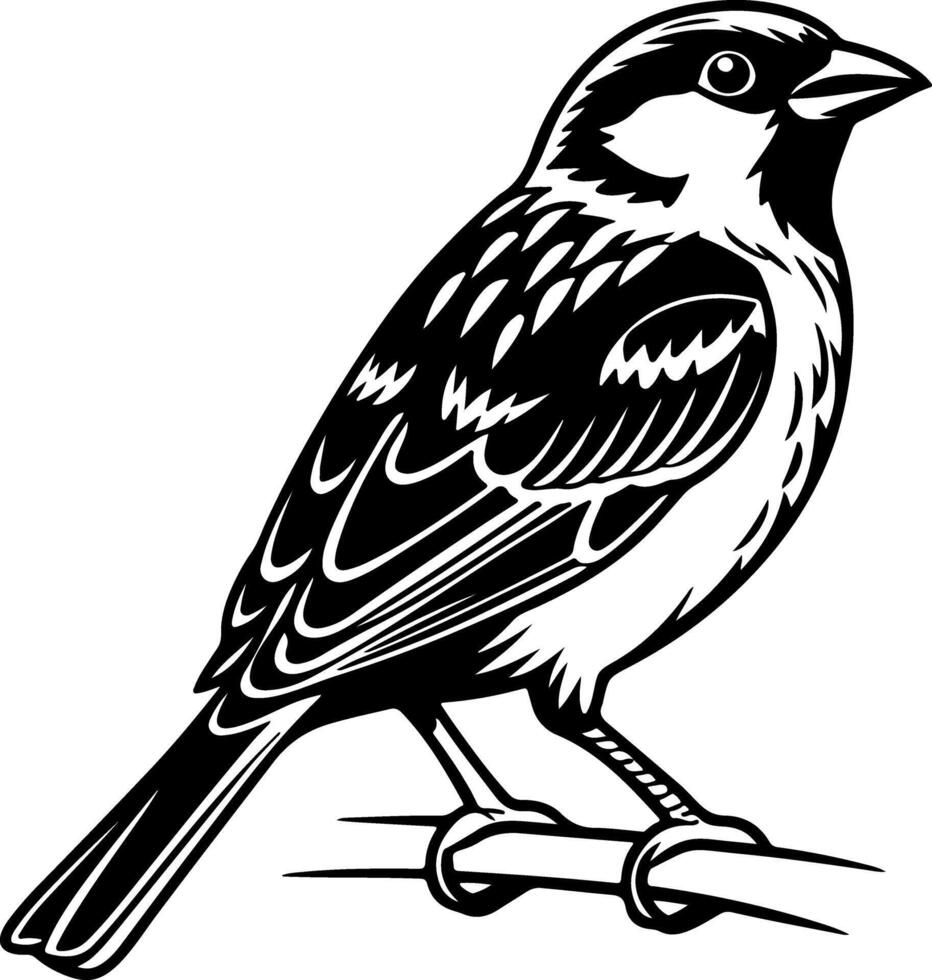 Sparrow Silhouette Looking Back in Minimal Style vector