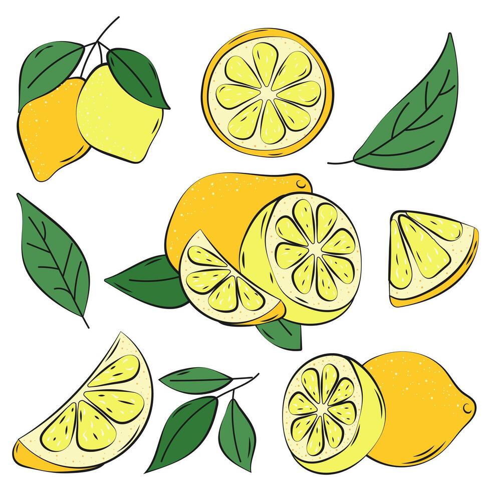 Lemon Set Doosle Hand Drawn. Whole Lemon Fruit with Leave, Lemon Slices and Cut. Tropical fruit slice, fresh green leaves, yellow lemons isolated on white Background. Organic lemonade juice Vitamin C. vector