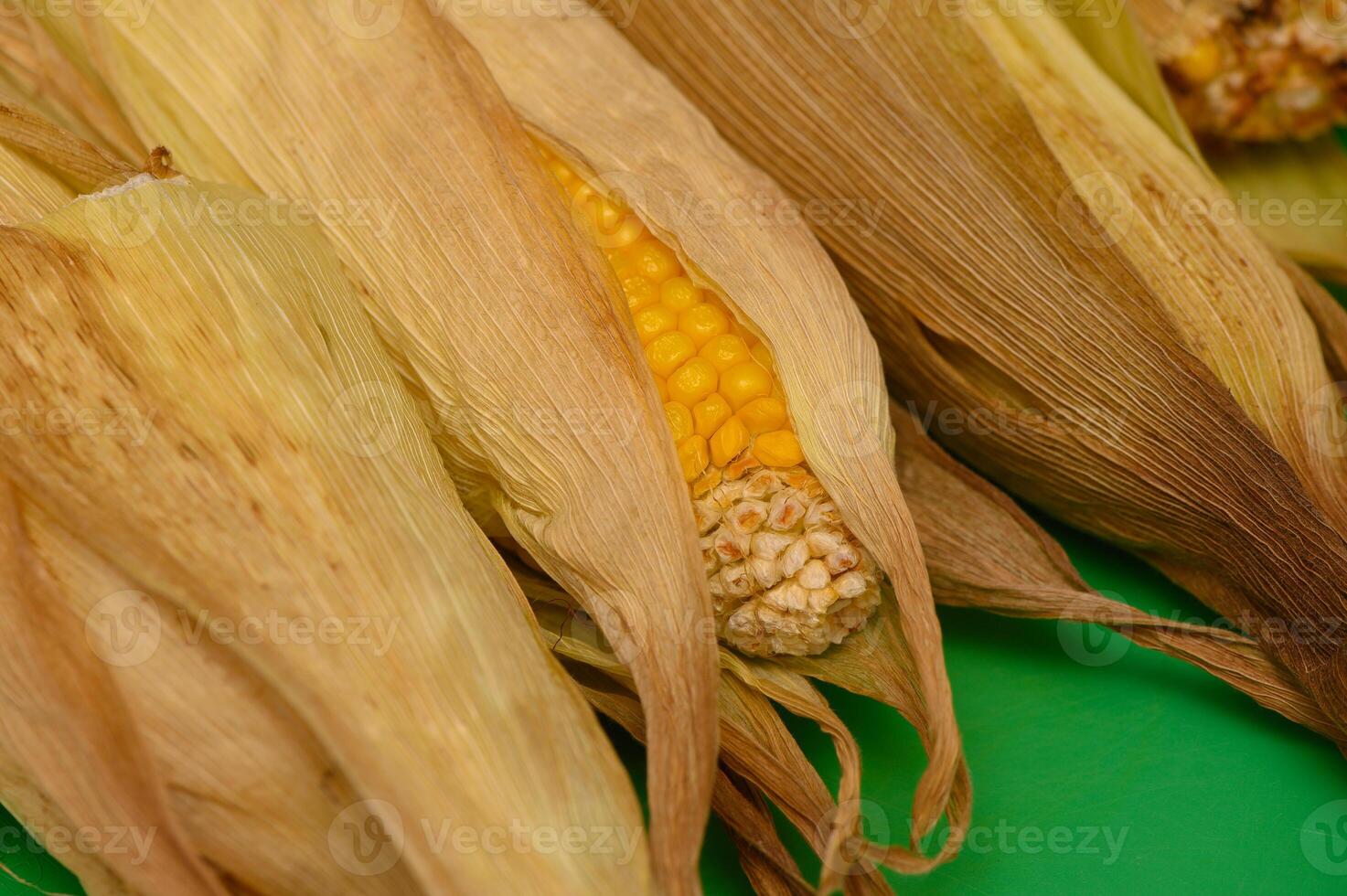Baked Corn on the Cob with Golden Crust photo