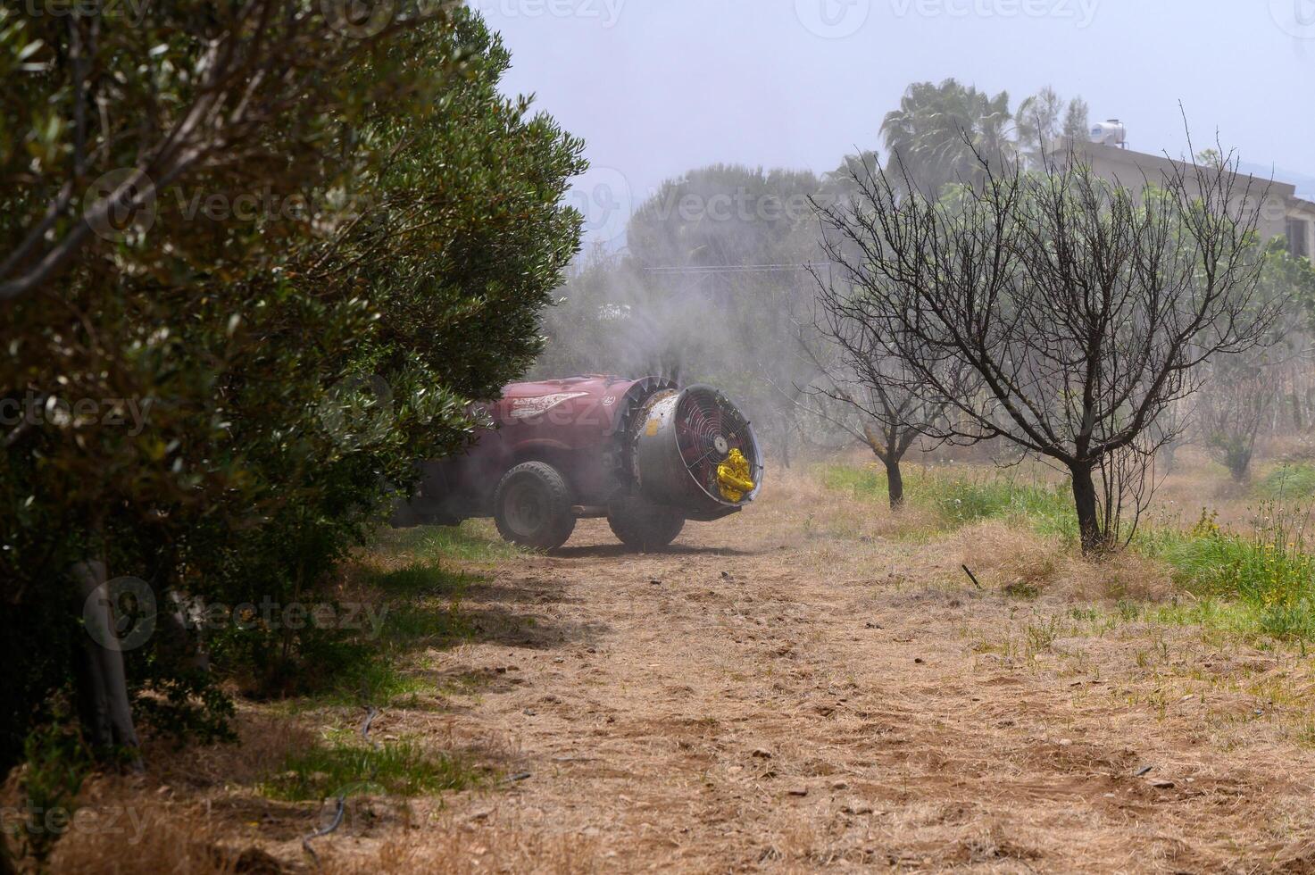 Farmer on Tractor Spraying Olive Grove in Cyprus photo