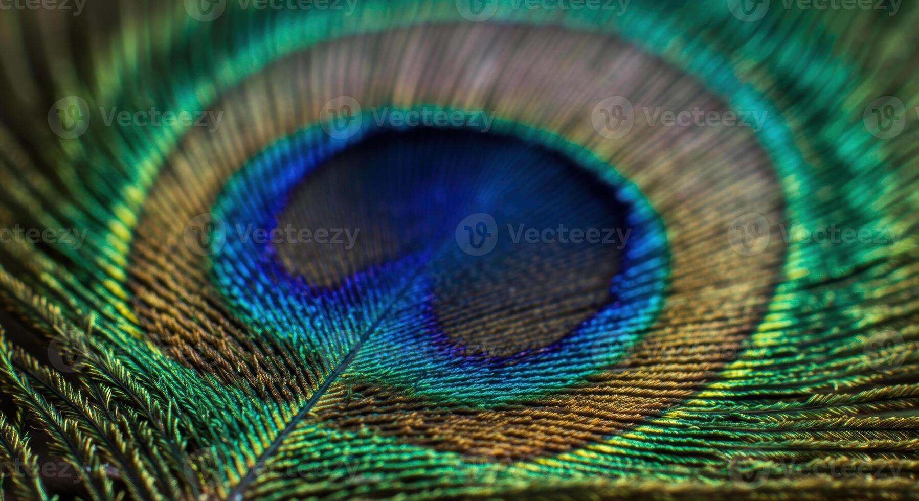 A detailed macro shot showcasing the intricate beauty of a peacock feather. photo