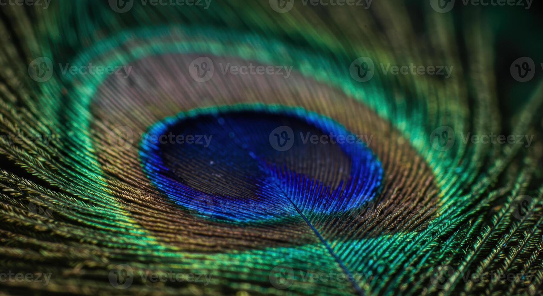 A detailed view of a vibrant peacock feather, showcasing intricate patterns and colors. photo