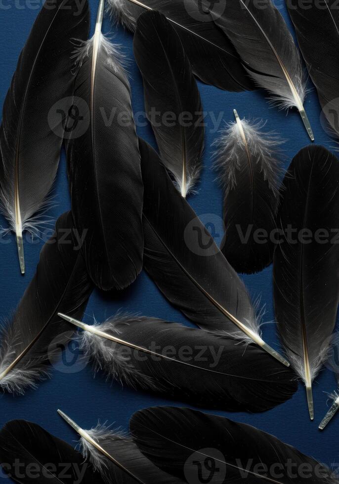A captivating display of black feathers artfully arranged against a deep blue backdrop. photo
