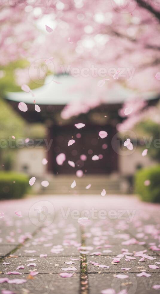 Falling cherry blossom petals cascade down a stone path in front of a temple. photo