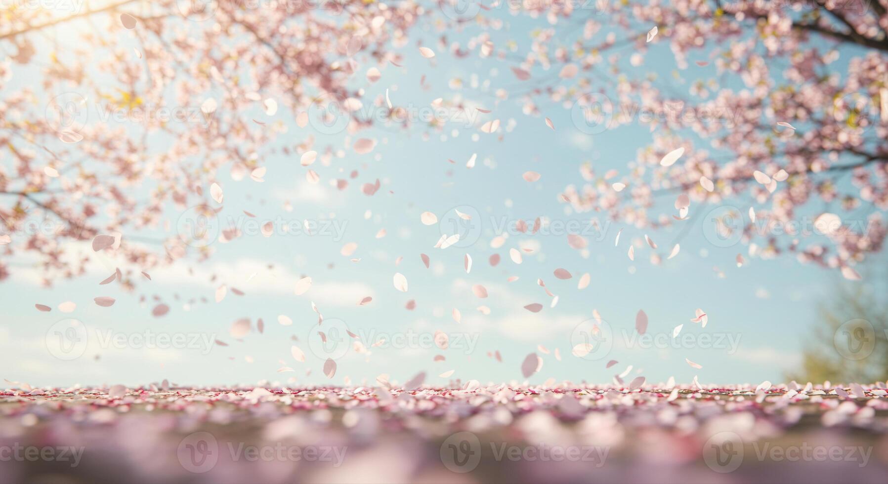 A beautiful display of falling cherry blossom petals, capturing spring's gentle beauty. photo