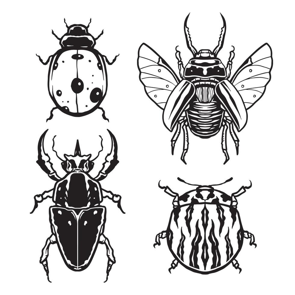 Hand drawn insects and bugs illustrations vector