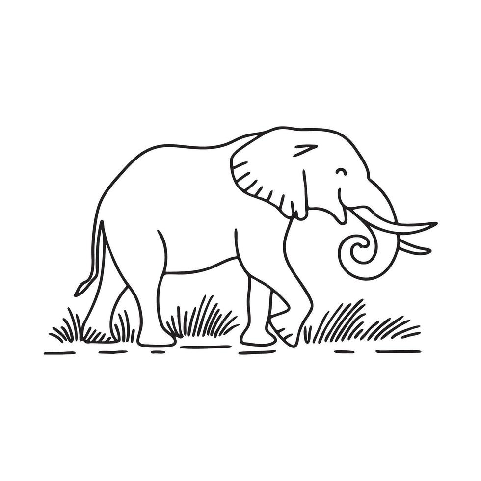 A wild elephant moving through dry grass with long tusks vector