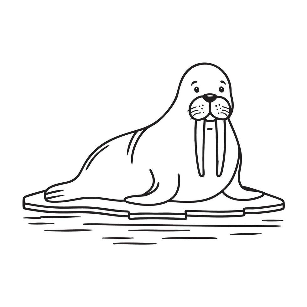 A walrus lying with curled tusks on an icy shore vector