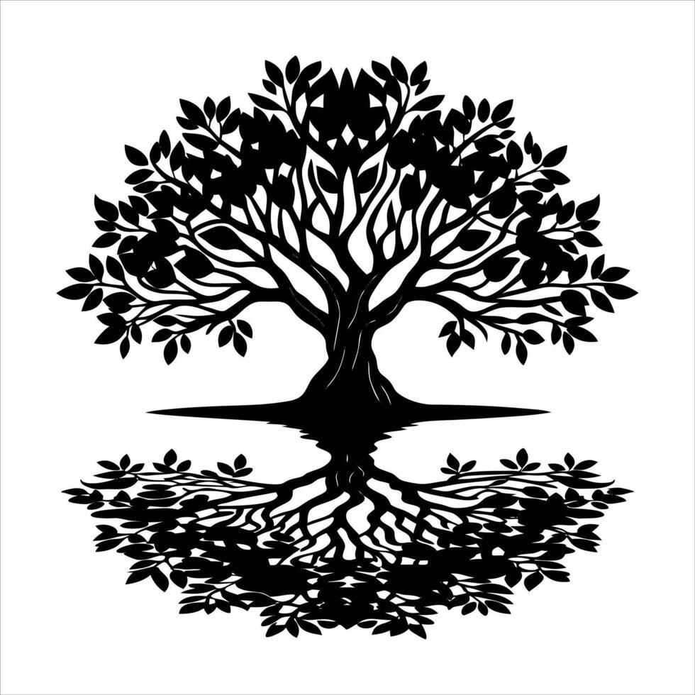 olive tree reflection in still water vector