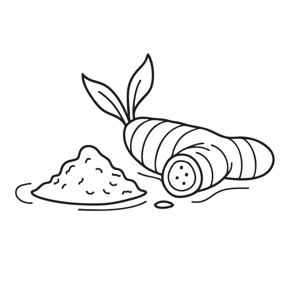A turmeric root beside some spilled spice powder vector