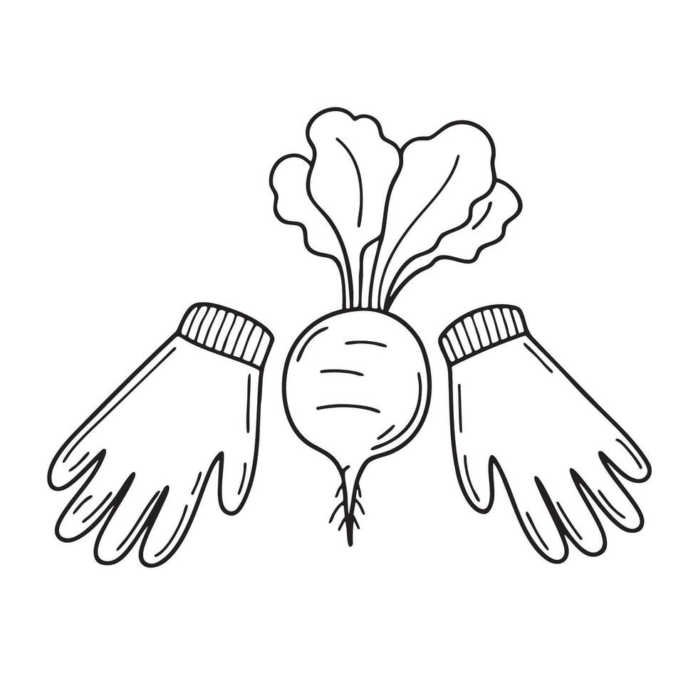 A turnip lying beside pair muddy gardening gloves vector