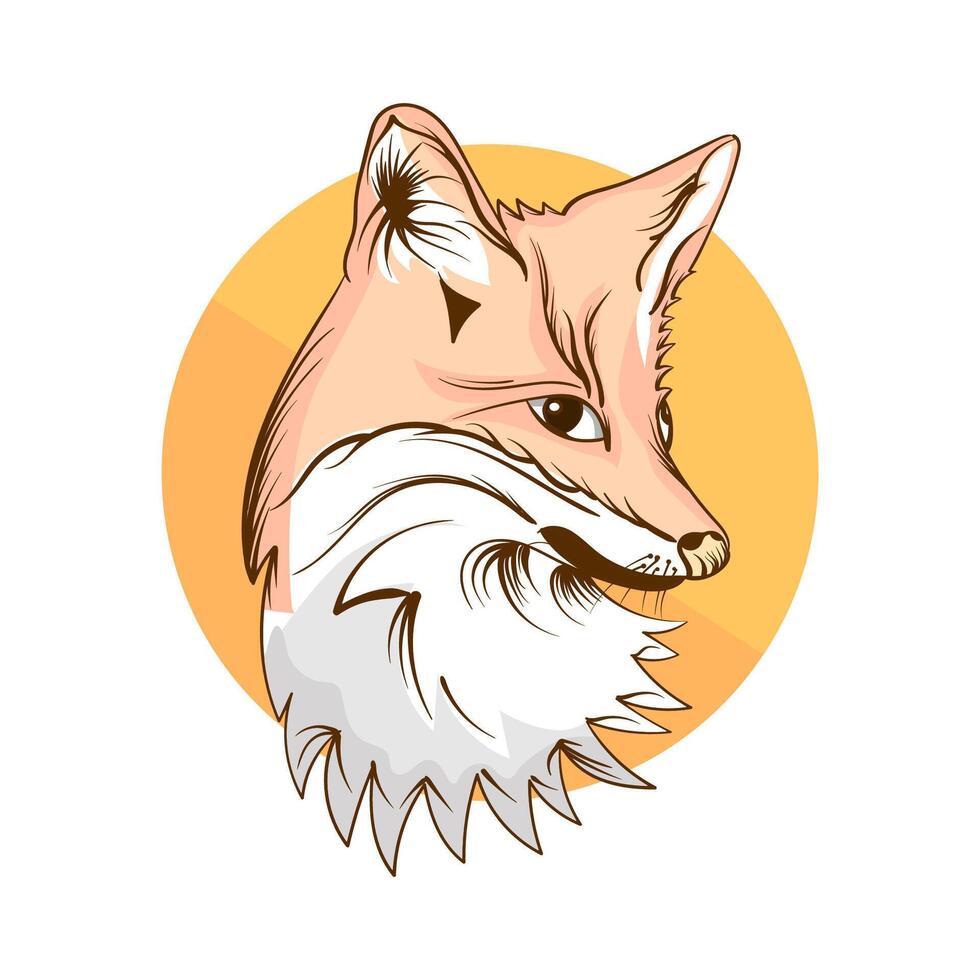 hand draw Illustration of a fox head in a circle on a white background vector