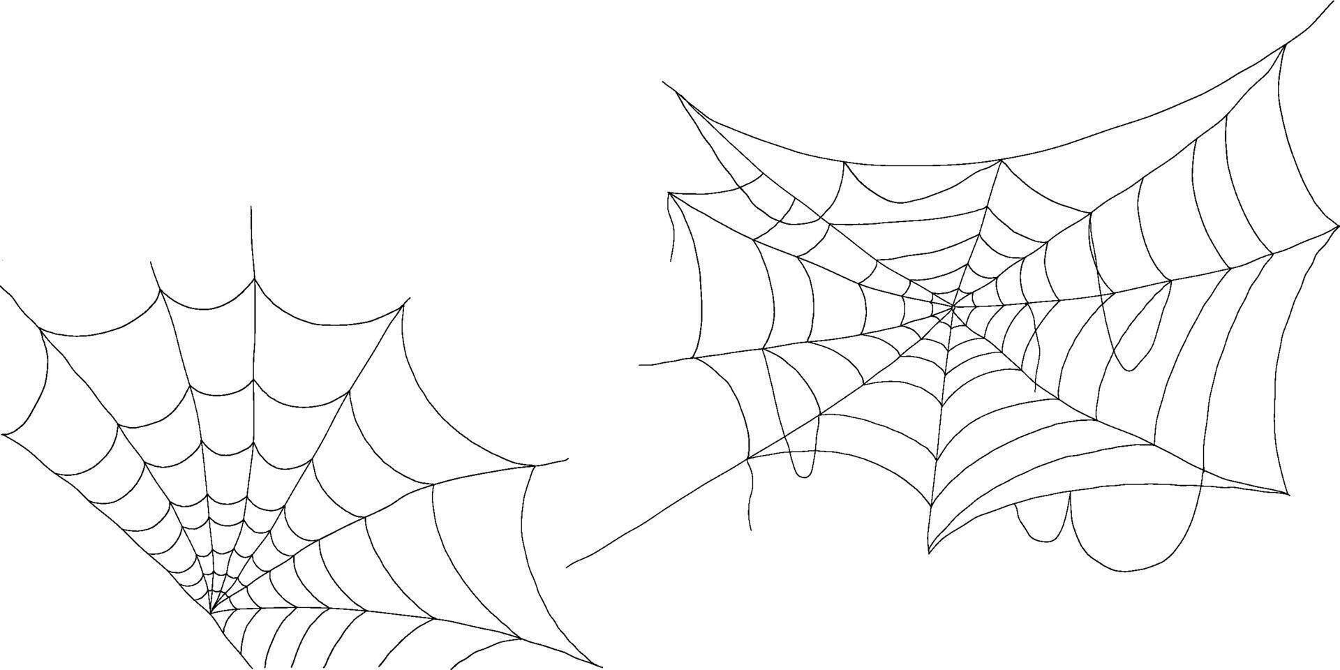 Creepy spider web shapes in corners black silhouette collection on white background vector