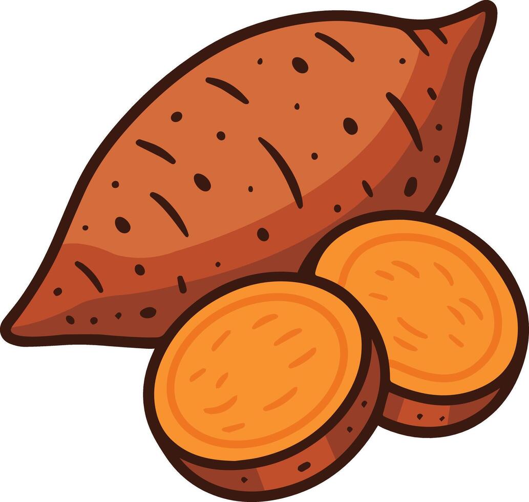 Sweet Potato Illustration vector