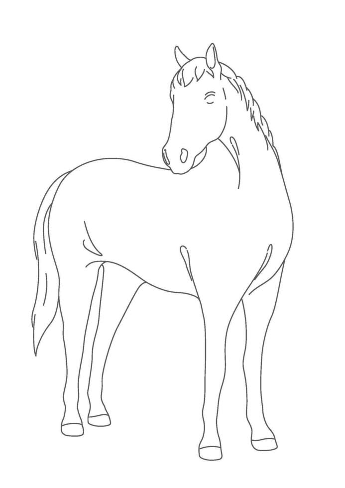 Elegant Monochrome Horse Line Drawing Isolated On A White Background. vector