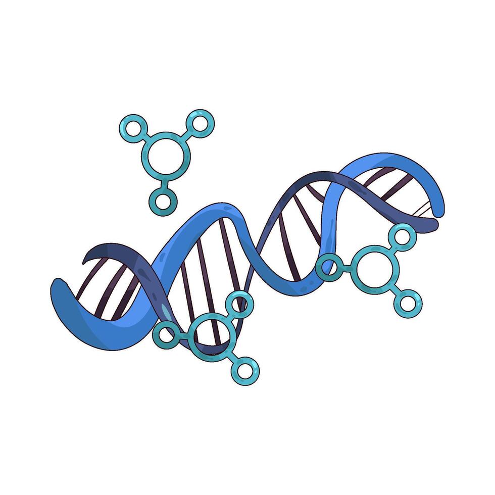 human helix illustration vector