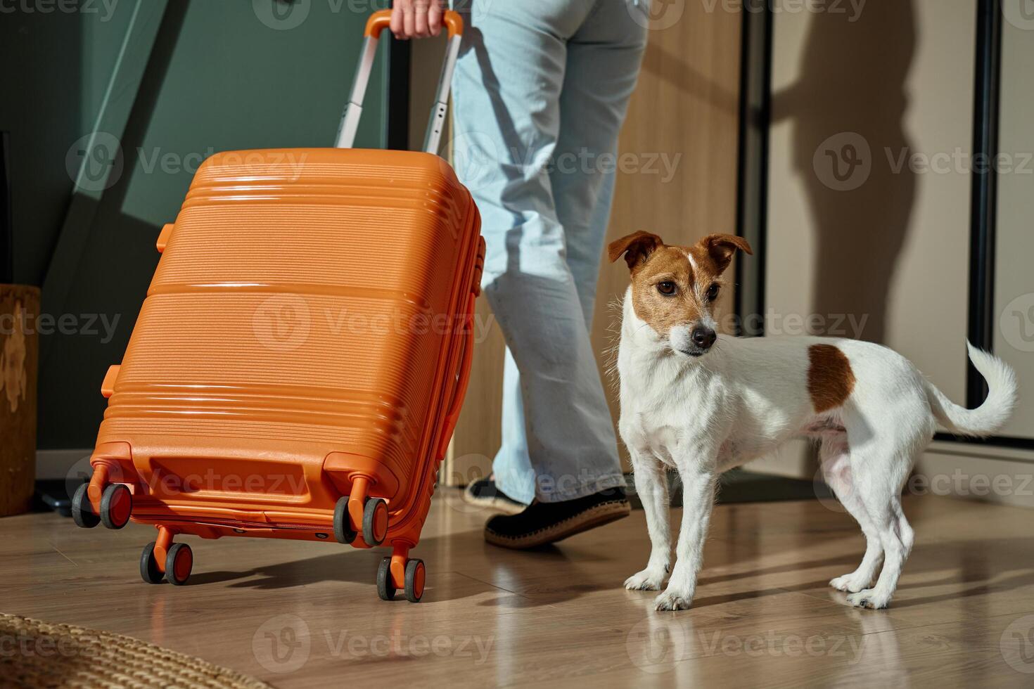 Woman leaving home with dog and suitcase. Small dog watching owner depart with luggage. Travel with pet photo