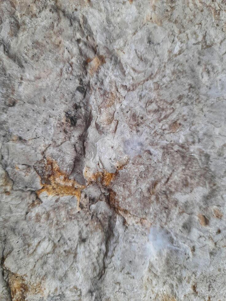 Close-up of a rough, textured stone surface with natural cracks and earthy tones of gray, brown, and white, showcasing geological patterns and weathered formations. photo
