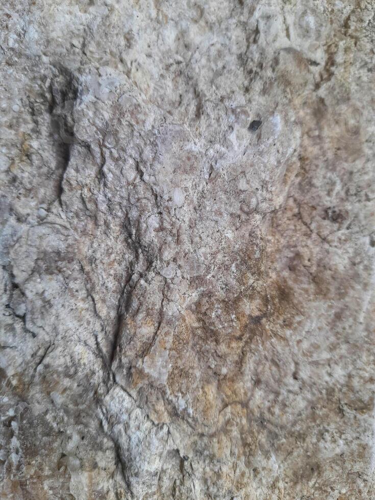 Close-up of a rough textured rock surface showing natural cracks, earthy tones, and mineral patterns formed by geological processes. photo