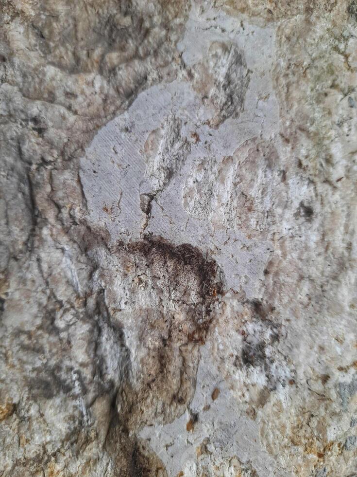 Close-up image of a rough, weathered rock surface showing natural textures, cracks, and earthy tones of gray and brown photo